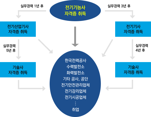 자격증 로드맵